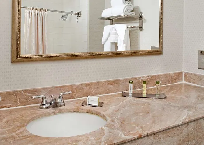 Hotel Doubletree By Hilton Chicago - Elk Grove 4*